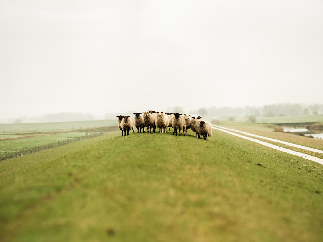 Silvester in: Ostfriesland