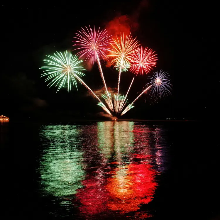 Silvesterveranstaltung: Fahrgastschiff MS Hammonia