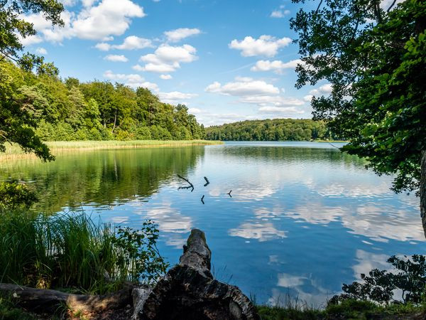 Silvester im Waldhotel Wandlitz 2025/2026