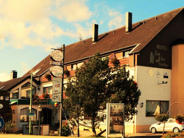 Silvester im Alten Forsthaus – Ein Jahreswechsel voller Genuss und Geselligkeit
