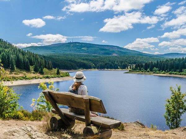 Silvesterreise 2024 in den Harz - 6 Tage Familienurlaub im Wolfshof