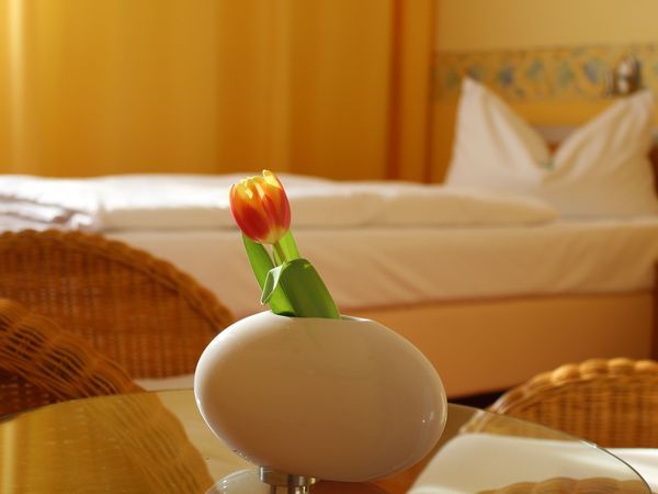 Silvester am Plauer See - 6 Tage zum Entspannen Parkhotel Klüschenberg 2025/2026