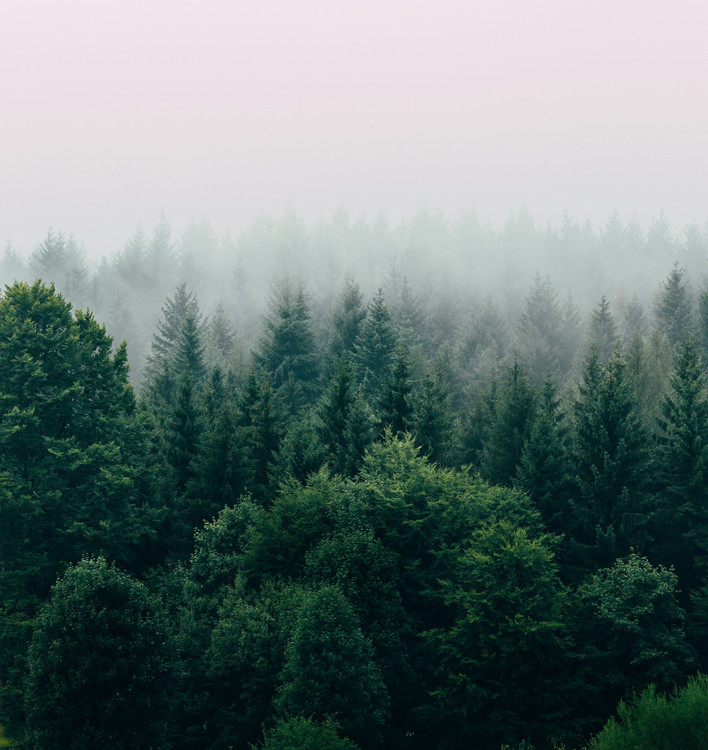 Flyer der Silvesterveranstaltung: Silvester 2025/2026 im Hotel Luisenpark Bad Bergzabern | Jahreswechsel in der Pfalz