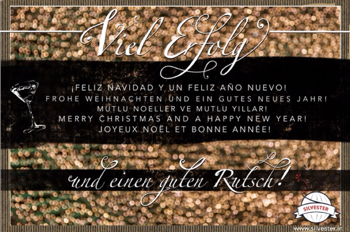 Viel Erfolg und einen guten Rutsch! Feliz Navidad y un feliz Año Nuevo!