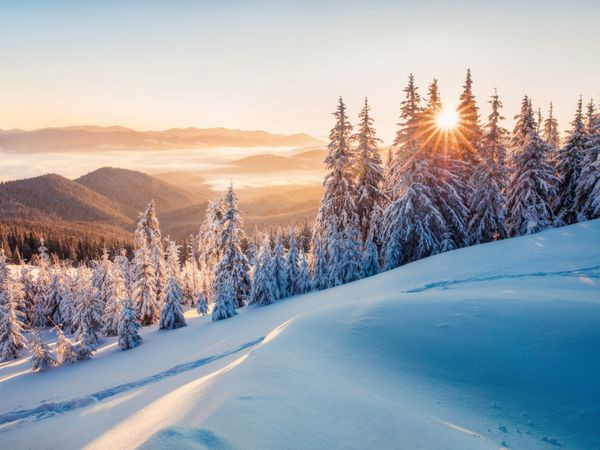 Neujahrsreise in den Schwarzwald: Landgasthof Kräuterhex Reutin