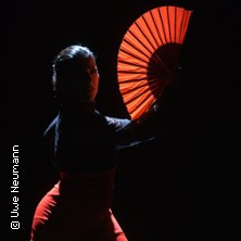 Flyer der Silvesterveranstaltung: Flamenco Vivo an Silvester 2023 in der Passionskirche Kreuzberg
