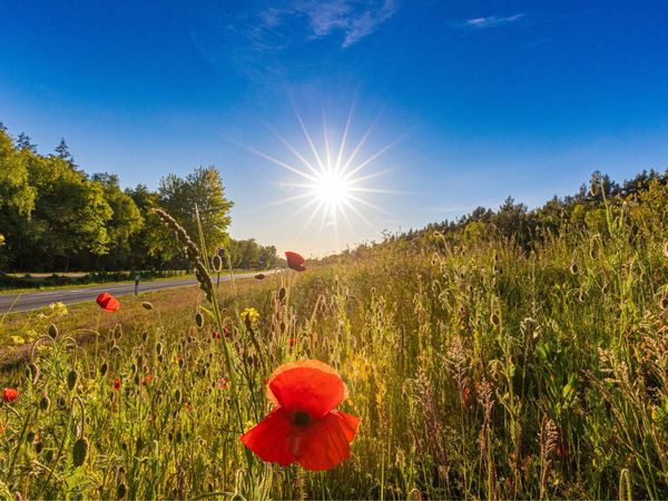 Silvester auf dem Darß 2025/2026: Ostseeurlaub im modernen Haus 54 in Zingst