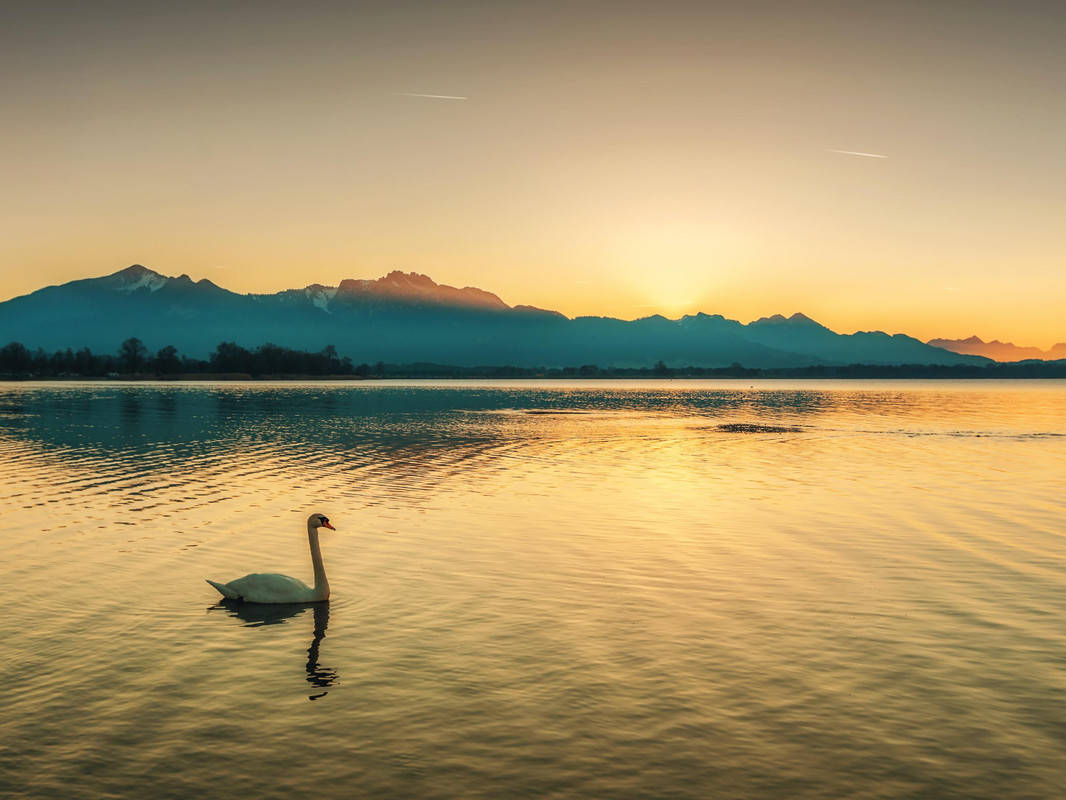 Silvester in: Chiemsee