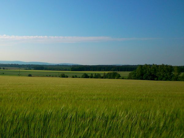 Silvester - das Alte verabschieden, das Neue begrüßen im Landhotel Karrenberg