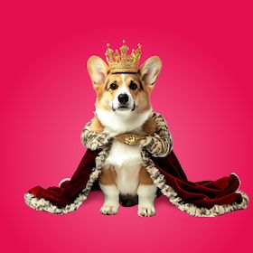 Silvesterveranstaltung: Royals – Bitterböse Komödie von Felix Krakau im Theater der Altstadt Stuttgart