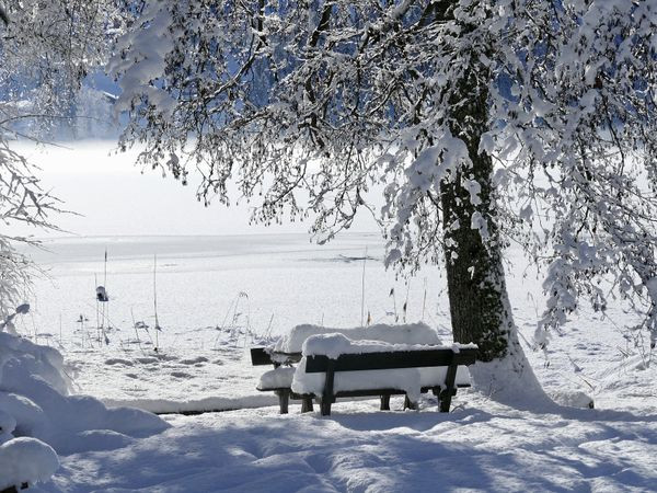 Silvesterveranstaltung: WinterAUSZEIT an Silvester 2023 im AKTIVHOTEL Weisser Hirsch