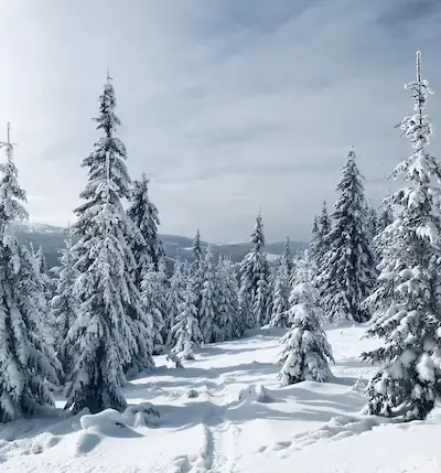 Silvesterveranstaltung: Mühlstodl Reiteralm