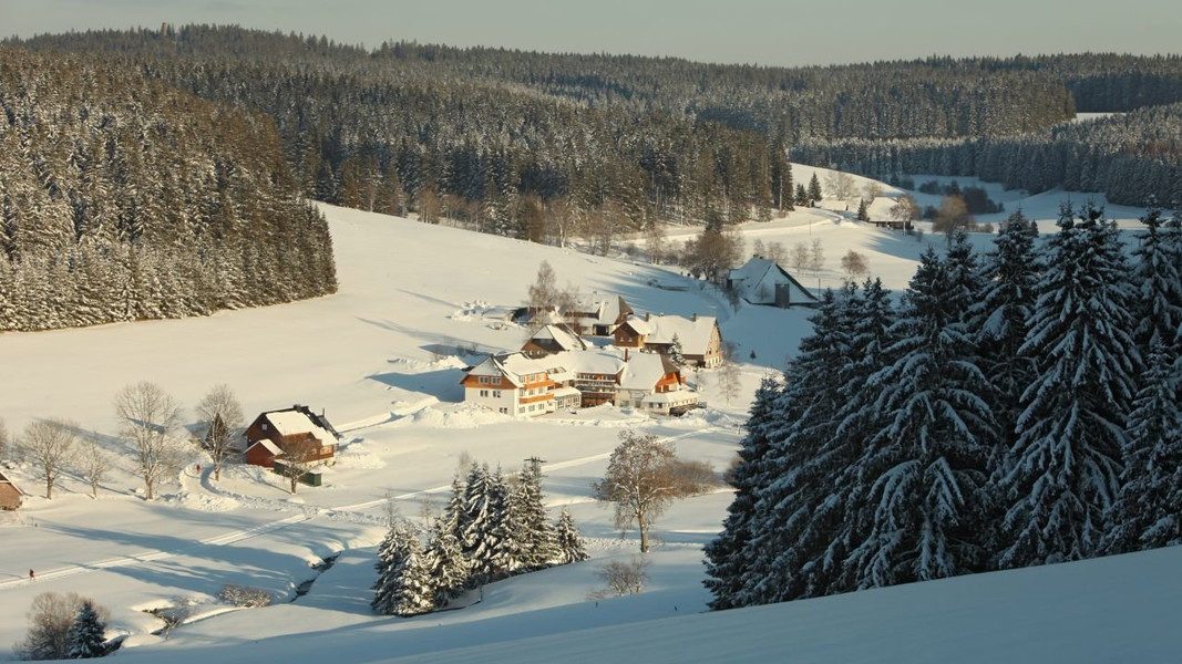 Silvester 2024 im Schwarzwald mit Silvester-Motto-Party und Wellness - 3 Übernachtungen