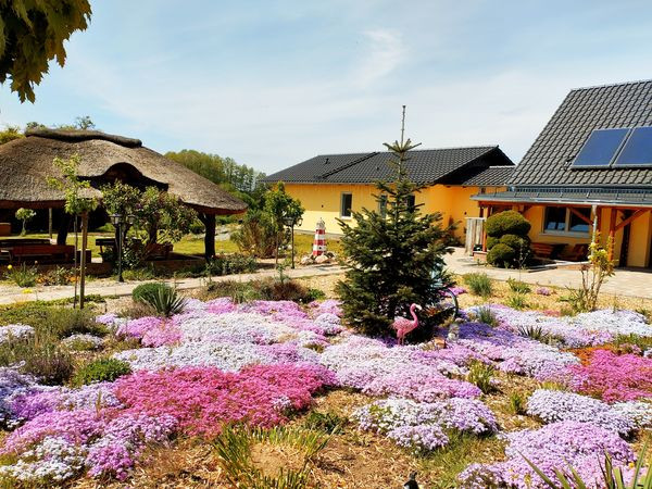 Silvester 2025/2026 im Lausitzer Seenland – 5 Tage Erholung in der Pension am Reethaus