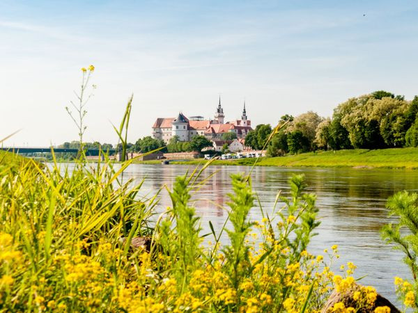 Silvestertrip für 4 Tage is Hotel Gasthof zum Schwan in Oschatz