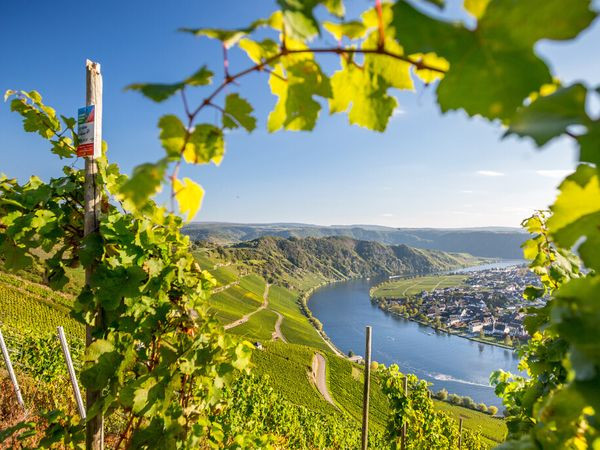 Silvester an der Mosel – Gemütlich ins neue Jahr starten