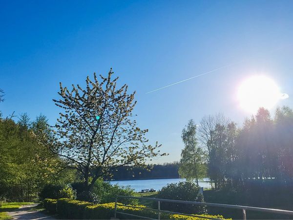 Happy New Year 2026 in Ostfriesland – 6 Tage Silvesterurlaub im Ferien Hotel Ostfriesland