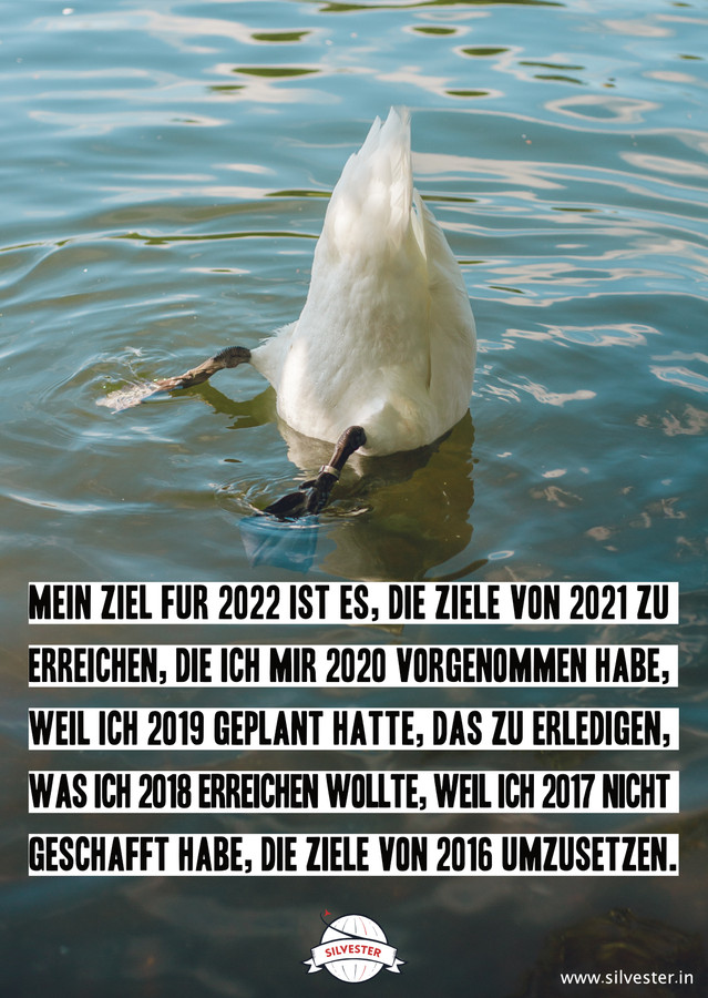 Habt ihr euch ein paar Vorsätze fürs neue Jahr, die ihr eher stiefmütterlich behandelt? Oder kennt ihr jemanden, der das tut? Dann sendet ihm doch unsere witzige und äußerst passende Grußkarte: "Mein Ziel für 2022 ist es, die Ziele von 2021 zu erreichen, die ich mir 2020 vorgenommen habe, weil ich 2019 geplant hatte, das zu erreichen, weil ich 2017 nicht geschafft habe, die Ziele von 2016 umzusetzen." Die perfekte Art, witzige Silvestergrüße und einen guten Rutsch ins neue Jahr zu wünschen!