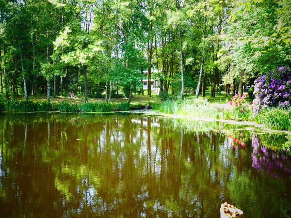 Silvester 2025 in der Lüneburger Heide – Musical-Highlight & stilvolle Party im Hotel Heide Kröpke