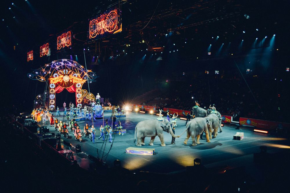 Flyer der Silvesterveranstaltung: Silvester-Gala im Bonner Weihnachtscircus – Magische Show zum Jahreswechsel