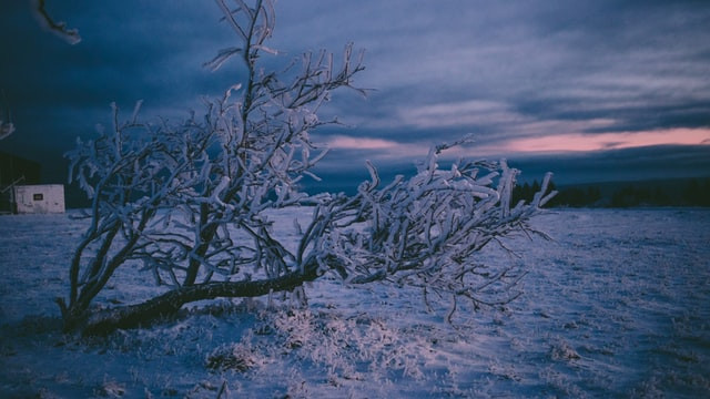 Silvester in: Rhön