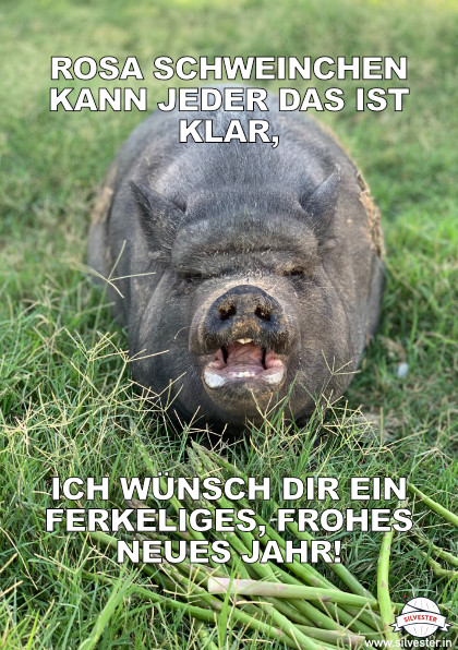 Rosa Schweinchen kann jeder - ein lustiger Gruß für deine Liebsten!