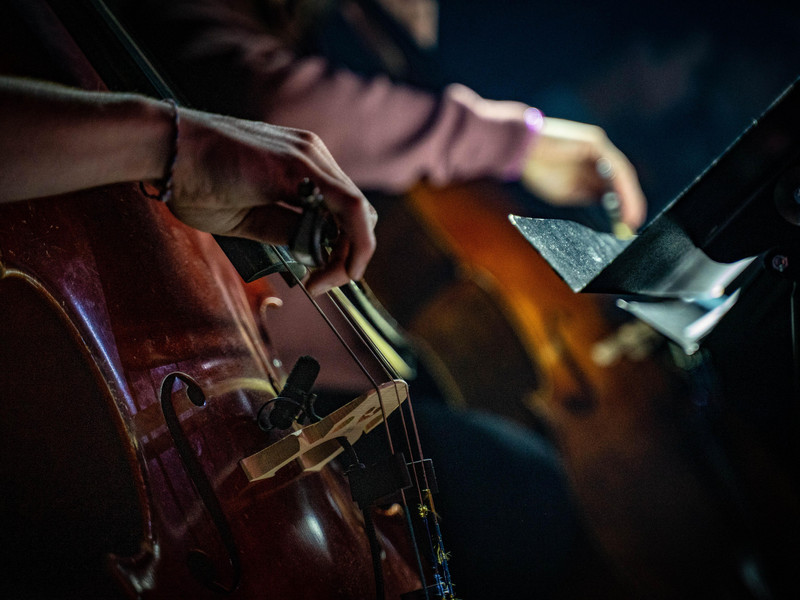 Silvesterveranstaltung: Neujahrskonzert 2024 mit dem Laupheimer Salonorchester