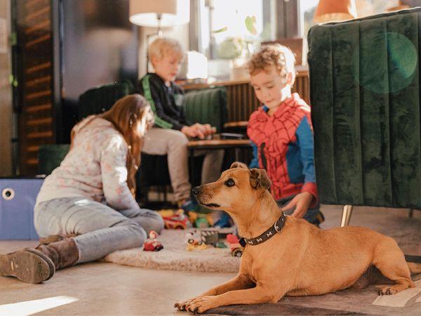 Silvesterveranstaltung: Schlosshotel Brilon-Wald