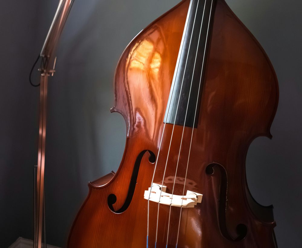 Silvesterveranstaltung: Silvesterkonzert 2024 – Philharmonie Lemberg in der Glocke Bremen