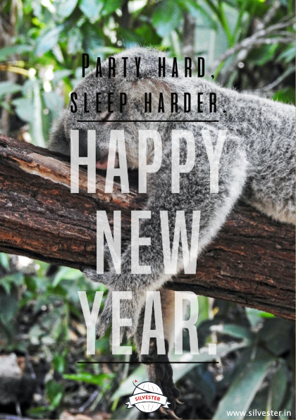 "Happy New Year! Party Hard, Sleep Harder!"