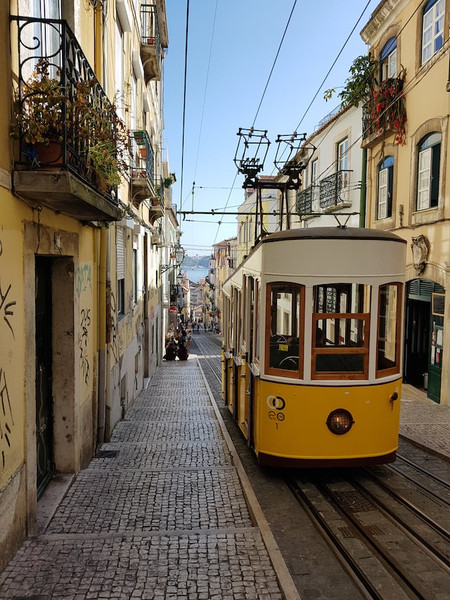 Silvesterveranstaltung: Silvester-Singlereise nach Portugal: Lissabon, Cascais & Sintra, Atlantikküste, Serra da Arrabida, Mafra & Ericeira