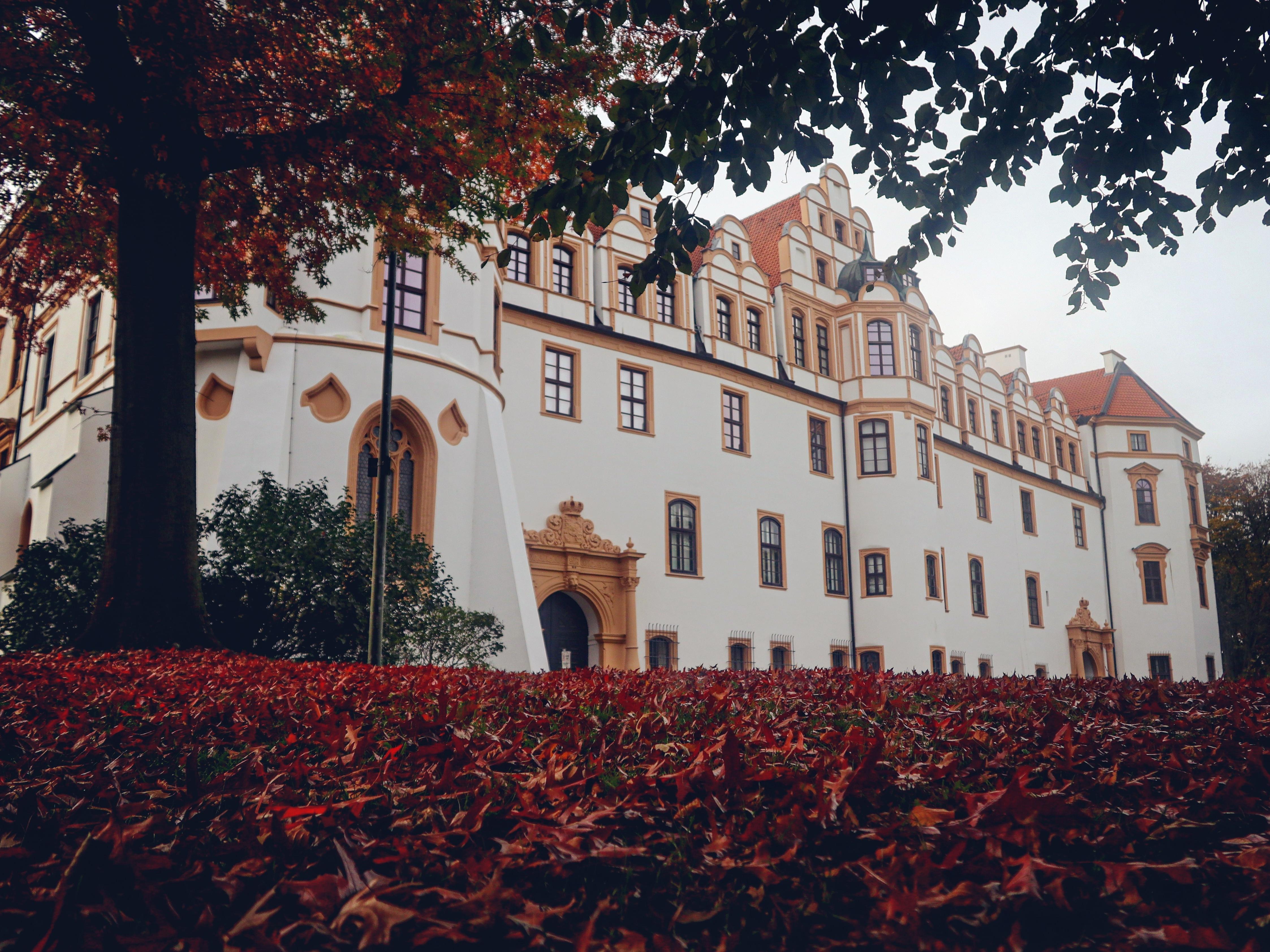 Schlosstheater Celle