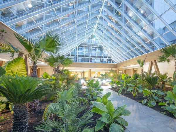 Weihnachten an der Perle der Ostsee - 6 Tage im Hotel Olymp